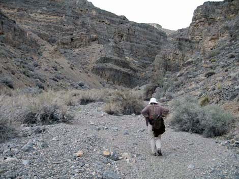 Yucca Gap Canyon 2