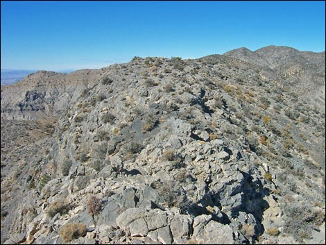 yucca peak