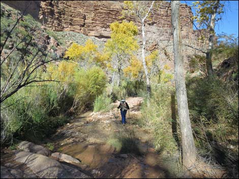 Bright Angel Trail