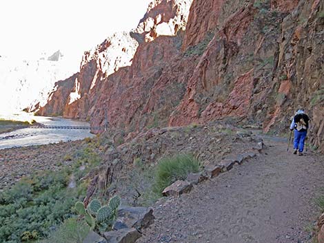 Bright Angel Trail