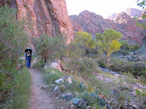 Bright Angel Trail