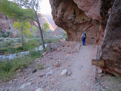 Bright Angel Trail