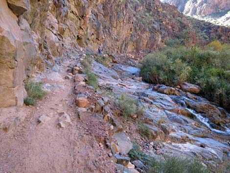 Bright Angel Trail