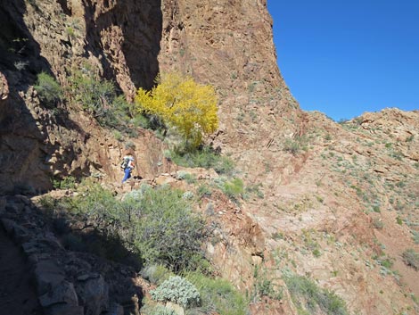 Bright Angel Trail