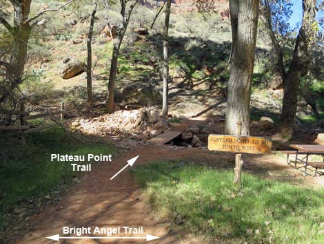 Bright Angel Trail