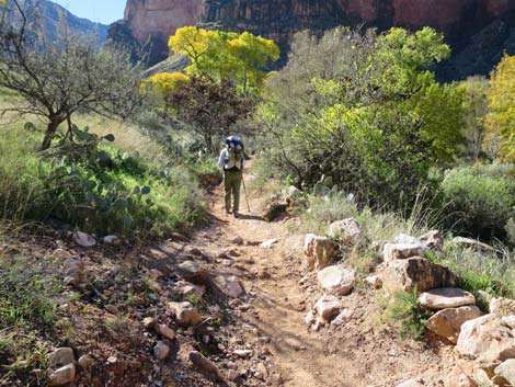 Bright Angel Trail