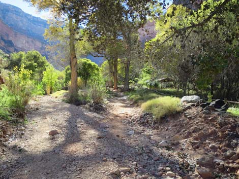 Bright Angel Trail