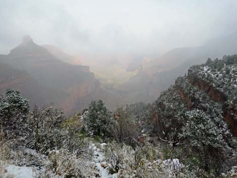 Bright Angel Trail