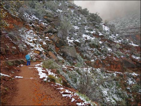 Bright Angel Trail