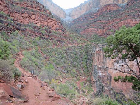 Bright Angel Trail