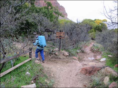 Bright Angel Trail