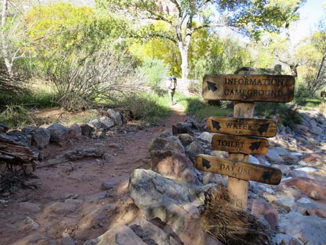 Bright Angel Trail