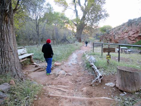 Bright Angel Trail