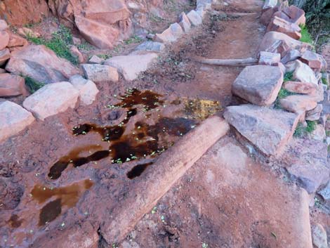 Bright Angel Trail