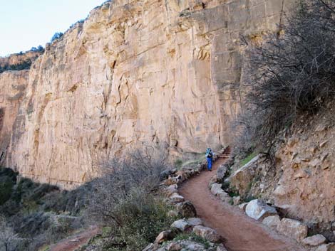 Bright Angel Trail