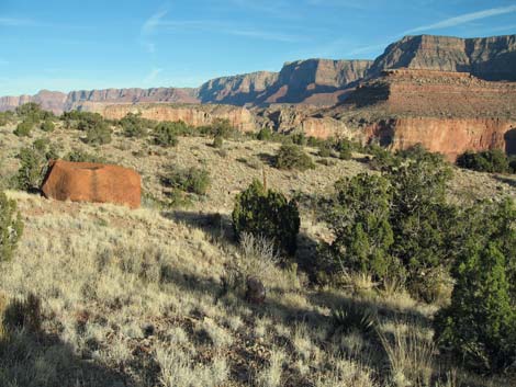 Grandview Trail