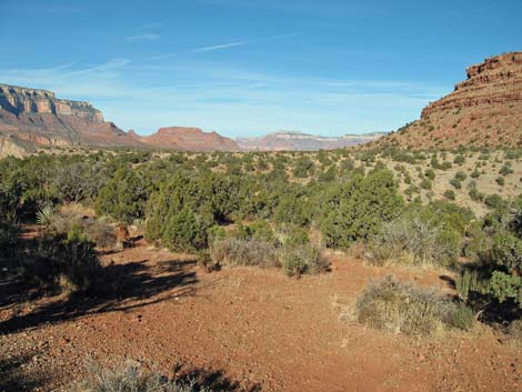 Grandview Trail