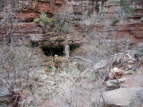 Page Spring Trail