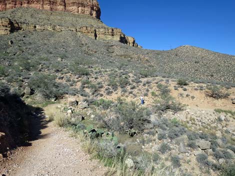 Plateau Point Trail