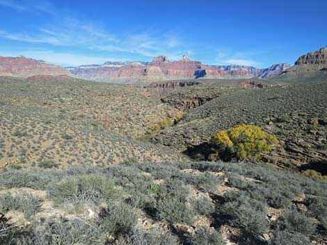 Plateau Point Trail