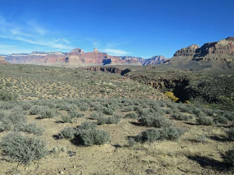 Plateau Point Trail