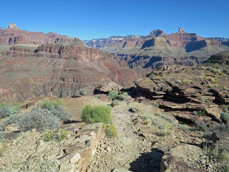 Plateau Point Trail