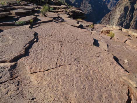 Plateau Point Trail