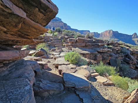 Plateau Point Trail