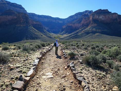 Plateau Point Trail