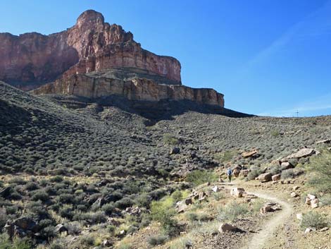 Plateau Point Trail