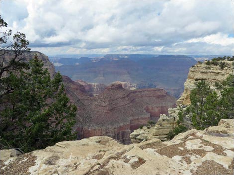 Rim Trail