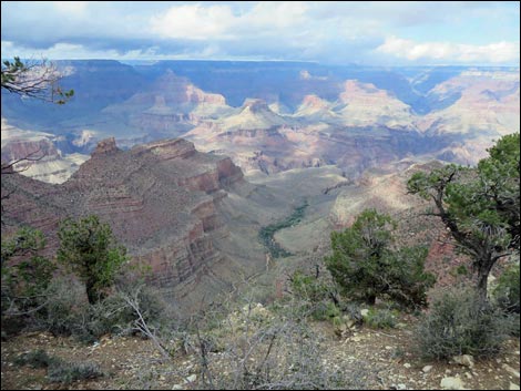 Rim Trail