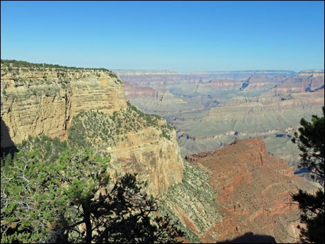 Rim Trail