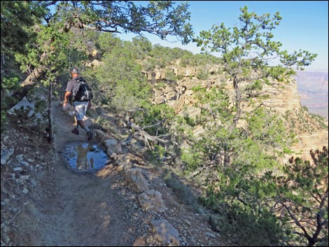 Rim Trail