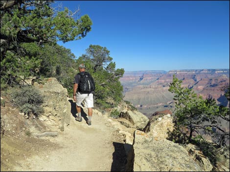 Rim Trail