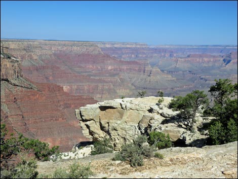 Rim Trail