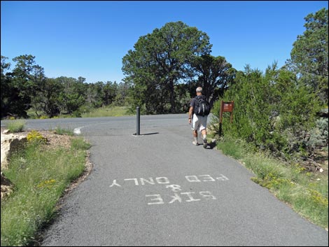 Rim Trail