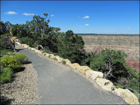 Rim Trail