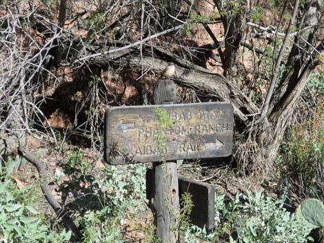 South Kaibab Trail