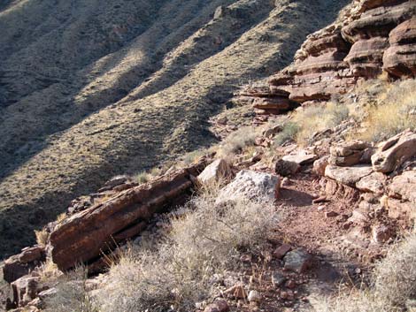 Tonto East Trail