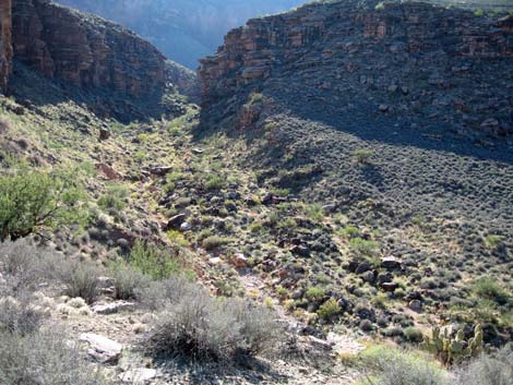 Tonto East Trail