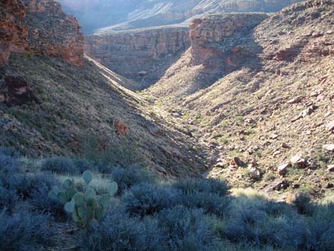 Tonto East Trail