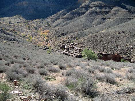 Tonto East Trail