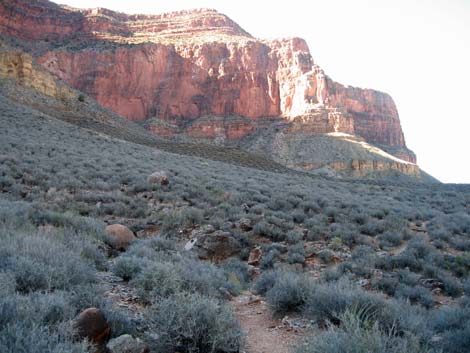 Tonto East Trail