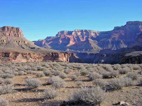 Tonto West Trail