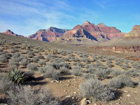 Tonto West Trail