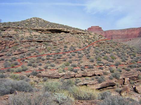 Tonto West Trail