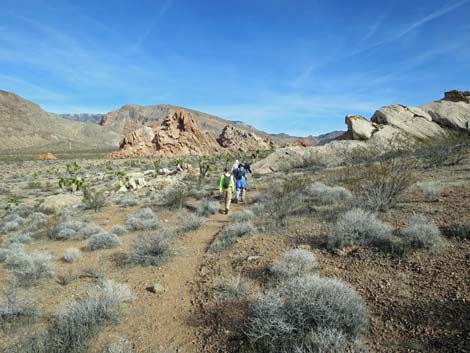 Doodlebug Arch