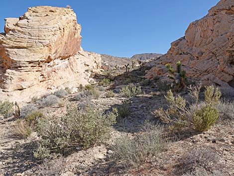 Doodlebug Arch