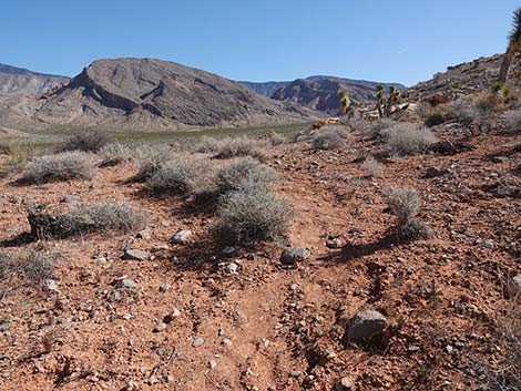 Doodlebug Arch Loop